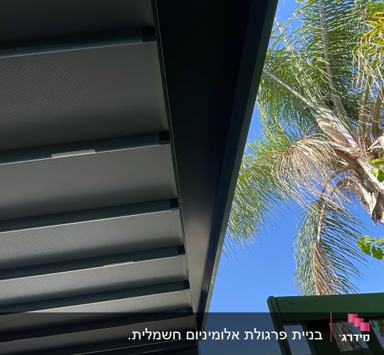 פרגולה מאלומיניום עם נוף של עץ דקל ושמיים כחולים
